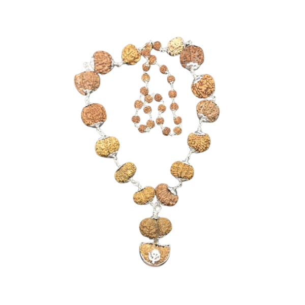 Siddha Mala Rudraksha in Silver With Silver Rudraksha Mala (1-14 Mukhi, Ganesh, Gaurishankar) Nepal Origin Big Size Beads IGL Lab Certified