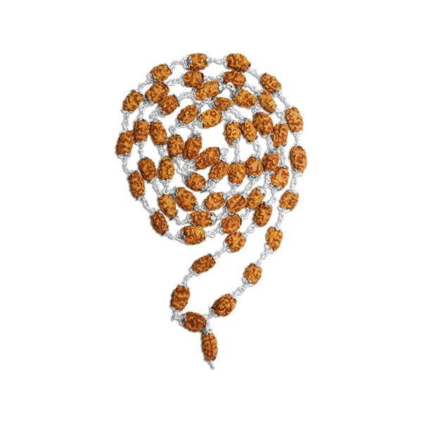 2 Mukhi Indonesian Rudraksha Mala 54 Beads in Silver (10mm-12mm) Lab Certified
