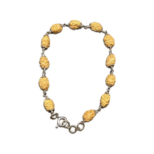 2 Face Java Indonesian Rudraksha Bracelet In Pure Silver 92.5 (Small)