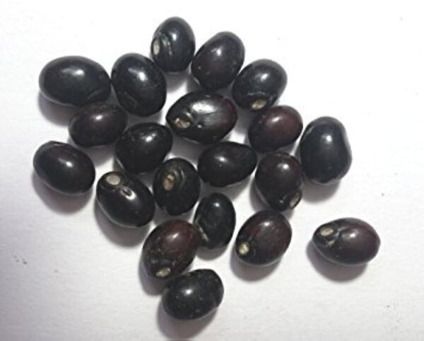 Black Chirmi Beads Gunja Hindu Religion Goddess Kali Pooja Item (100 Pcs)