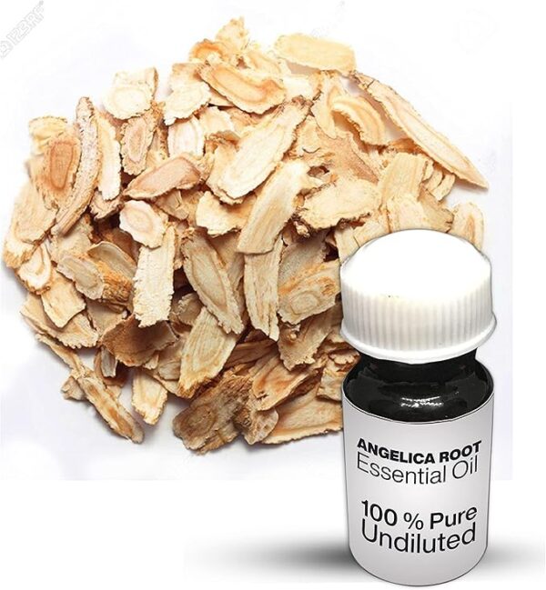 Angelica Root Essential Oil / 100% Pure Angelica Root Undiluted Essential Oil Premium Quality