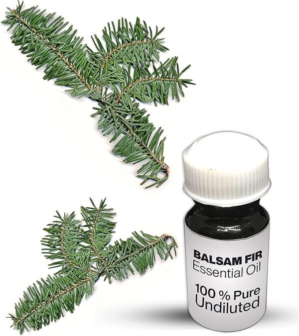 Balsam Fir Essential Oil / 100% Pure Balsam Fir Undiluted Essential Oil Premium Quality
