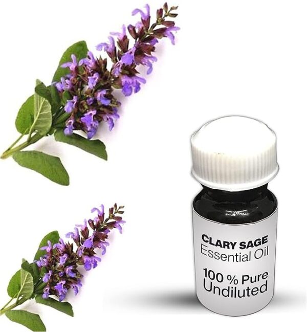 Clary Sage Essential Oil / 100% Pure Clary Sage Undiluted Essential Oil Premium Quality