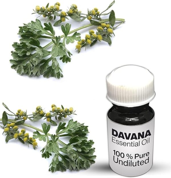 Davana Essential Oil / 100% Pure Davana Undiluted Essential Oil Premium Quality