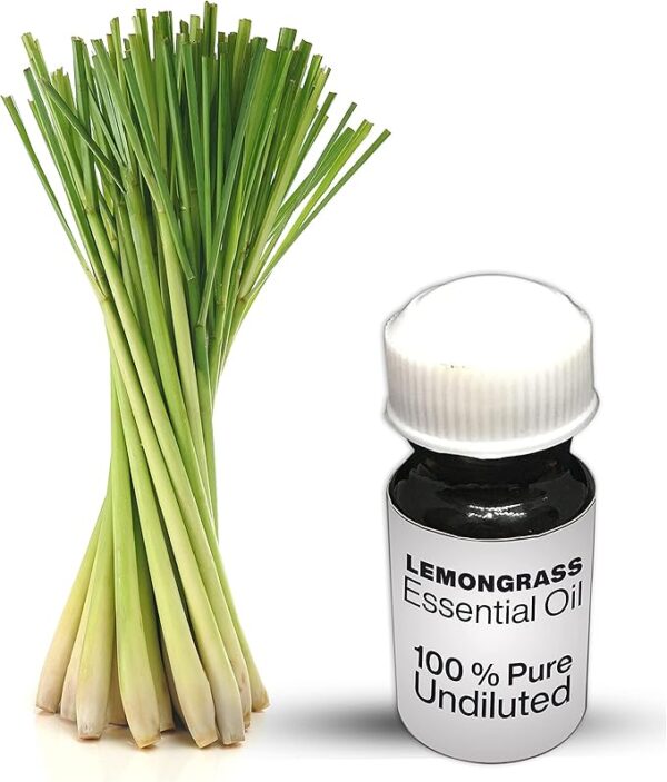 Lemongrass Essential Oil / 100% Pure Lemongrass Undiluted Essential Oil Premium Quality