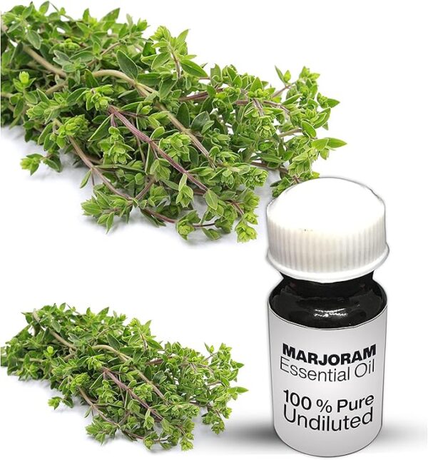 Marjoram Essential Oil / 100% Pure Marjoram Undiluted Essential Oil Premium Quality