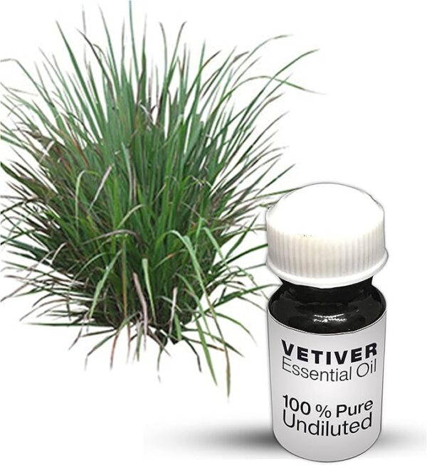 Vetiver Essential Oil / 100% Pure Vetiver Undiluted Essential Oil Premium Quality