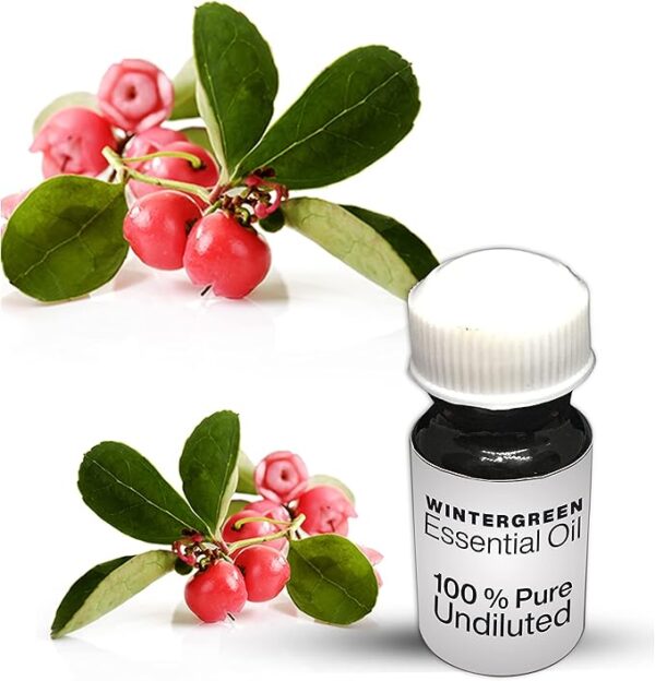 Wintergreen Essential Oil / 100% Pure Wintergreen Undiluted Essential Oil Premium Quality