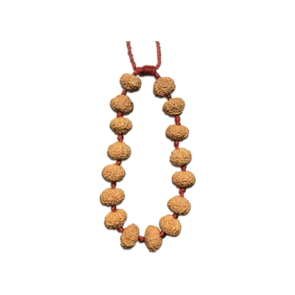 10 Face Java Indonesian Rudraksha Bracelet In Red Thread (Medium)
