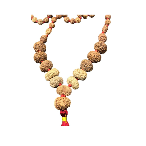 1 to 14 Mukhi Rudraksha Mala In Pure Silver Big| One to fourteen Face Rudraksh Mala | Natural Rudraksha, 18mm-20mm, Rudraksha, No Gemstone