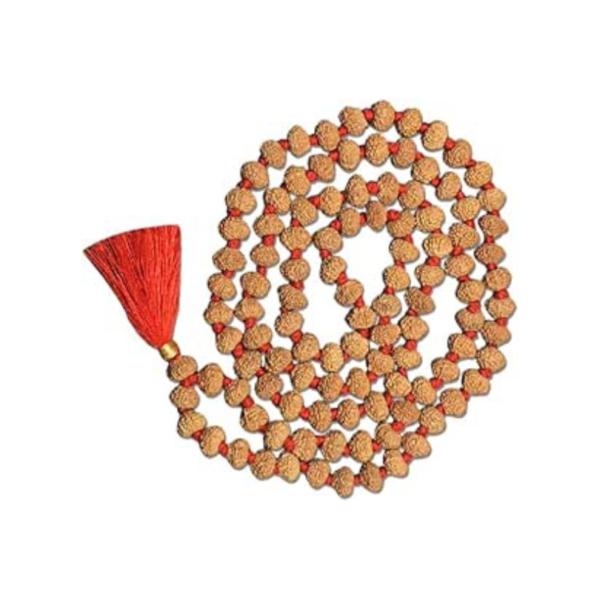 11 Mukhi Indonesian Rudraksha Mala 108 Beads 10mm-12mm Lab Certified