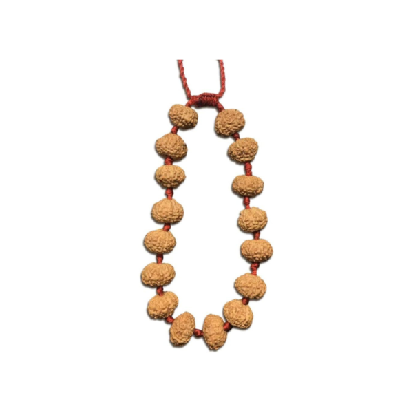 11 Face Java Indonesian Rudraksha Bracelet In Red Thread (Small)