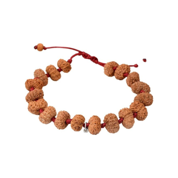 12 Face Java Indonesian Rudraksha Bracelet In Red Thread (Big)
