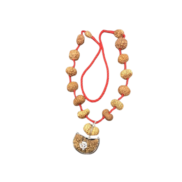 1 to 14 Mukhi Rudraksha Mala Small | One to fourteen Face Rudraksh Mala | Natural Rudraksha, 9mm-12mm, Rudraksha, No Gemstone
