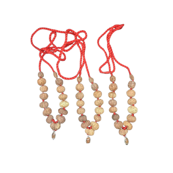 1 to 14 Mukhi Rudraksha Mala In Pure Silver Small | One to fourteen Face Rudraksh Mala | Natural Rudraksha, 9mm-12mm, Rudraksha, No Gemstone