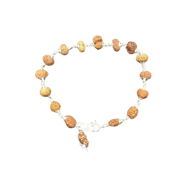 1 to 14 Mukhi Rudraksha Bracellet In Pure Silver Small | One to fourteen Face Rudraksh Bracellet | Natural Rudraksha, 9mm-12mm, Rudraksha, No Gemstone