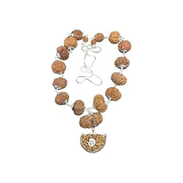 Siddha Mala Rudraksha in Silver With Silver Chain (1-14 Mukhi, Ganesh, Gaurishankar) Nepal Origin 2 Mukhi Indian Small Size Beads IGL Lab Certified