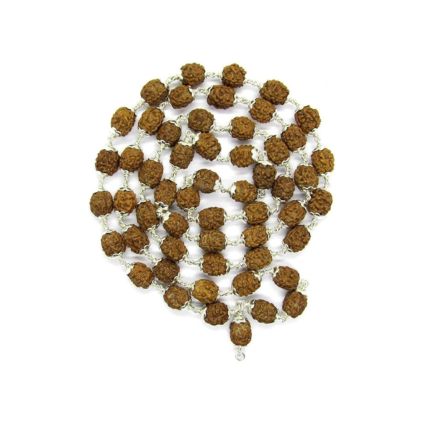 3 Mukhi Indonesian Rudraksha Mala 54 Beads in Silver Lab Certified