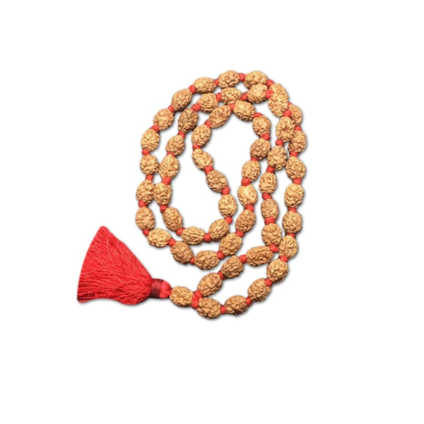 3 Mukhi Indonesian Rudraksha Mala 54 Beads Lab Certified