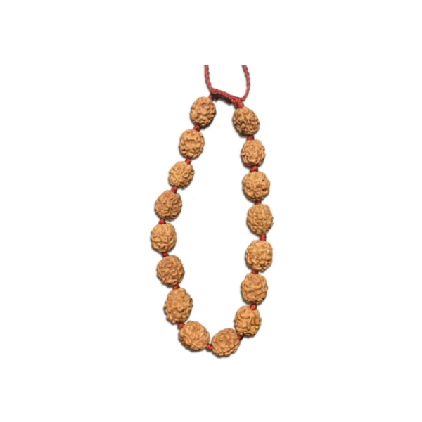 3 Face Java Indonesian Rudraksha Bracelet In Red Thread (Medium)