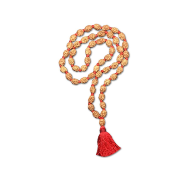 4 Mukhi Indonesian Rudraksha Mala 54 Beads Lab Certified
