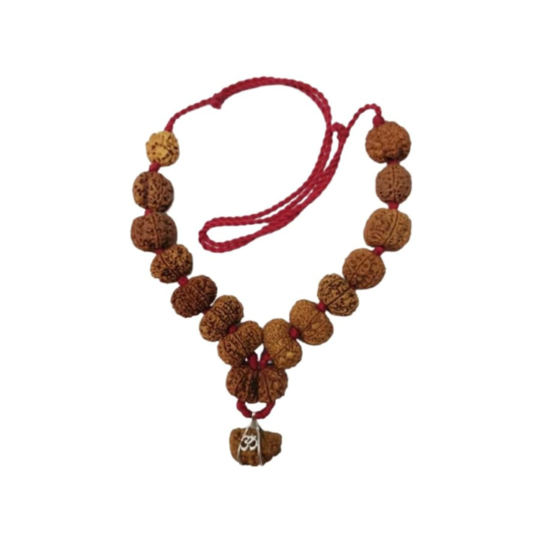 Siddha Mala Rudraksha in Red Thread (1-14 Mukhi, Ganesh, Gaurishankar) Nepal Origin 2 Mukhi Indian Small Size Beads IGL Lab Certified
