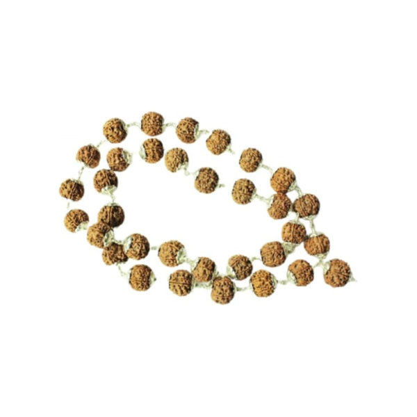 7 Mukhi Indonesian Rudraksha Mala 54 Beads in Silver (10mm-12mm) Lab Certifiedi