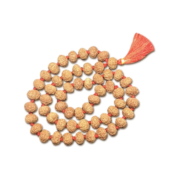 8 Mukhi Indonesian Rudraksha Mala 54 Beads 12mm-14mm Lab Certified