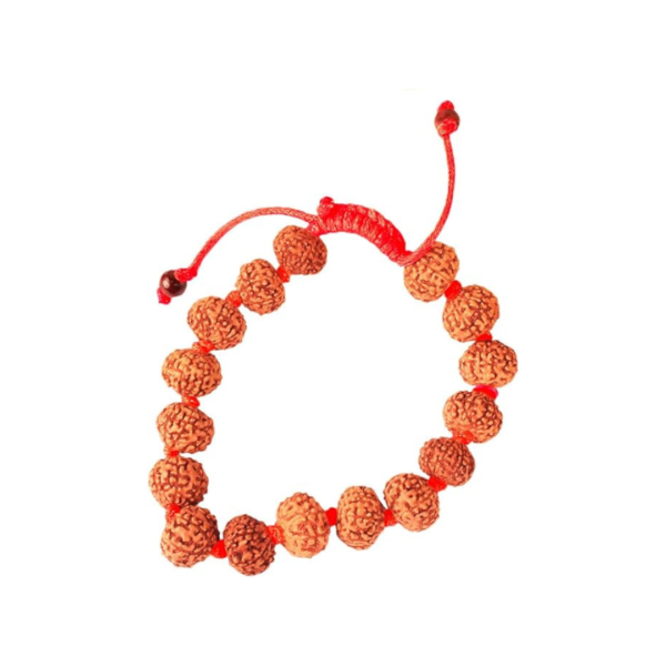 7 Face Java Indonesian Rudraksha Bracelet In Red Thread (Big)