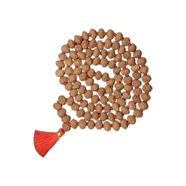 8 Mukhi Indonesian Rudraksha Mala 108 Beads 10mm-11mm Lab Certified