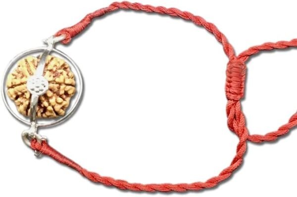 10 Mukhi Rudraksha Bracelet from Nepal 26mm-28mm Silver Thread Adjustable IGL Lab Certified Original Geniune 100% Natural., 20mm-22mm, no