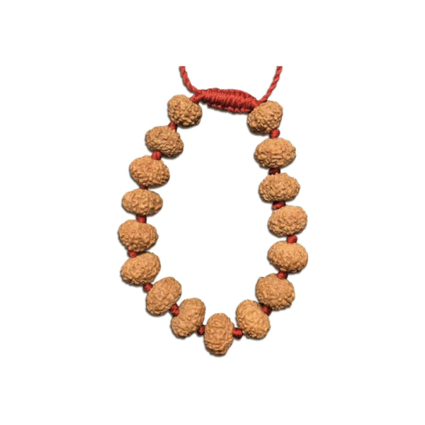 8 Face Java Indonesian Rudraksha Bracelet In Red Thread (Small)