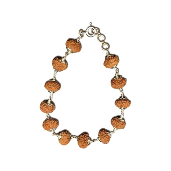 9 Face Java Indonesian Rudraksha Bracelet In Pure Silver 92.5 (Medium)