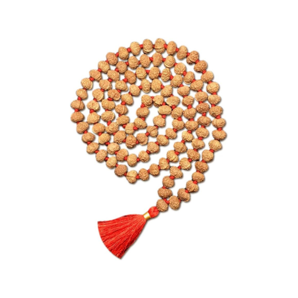 4 Mukhi Ganesh Indonesian Rudraksha Mala 108 Beads Lab Certified