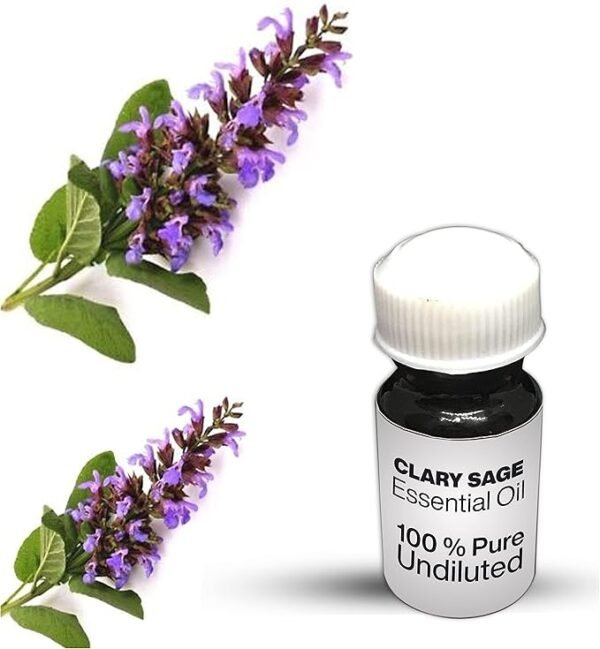 Clary Sage Essential Oil / 100% Pure Clary Sage Undiluted Essential Oil Premium Quality