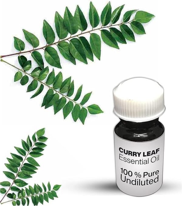 Curry Leaf Essential Oil / 100% Pure Curry Leaf Undiluted Essential Oil Premium Quality