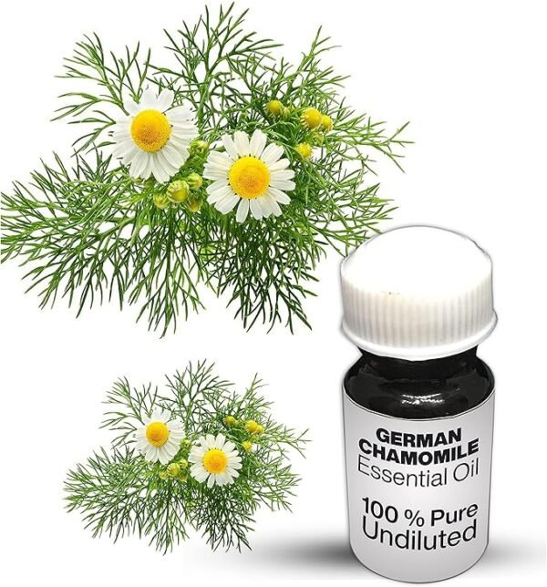 German Chamomile Essential Oil / 100% Pure German Chamomile Undiluted Essential Oil Premium Quality