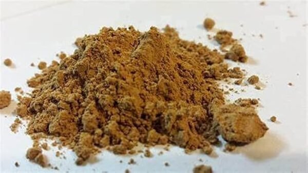 Mysore Chandan Pure Mysore Sandalwood Powder