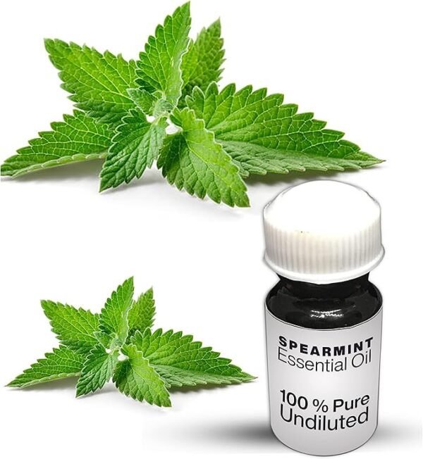 Spearmint Essential Oil / 100% Pure Spearmint Undiluted Essential Oil Premium Quality
